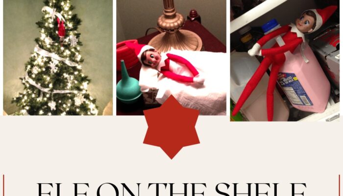 Elf on the Shelf Ideas