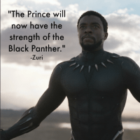 Marvel's Black Panther Quotes - Our TOP List From The Movie - Enza's ...