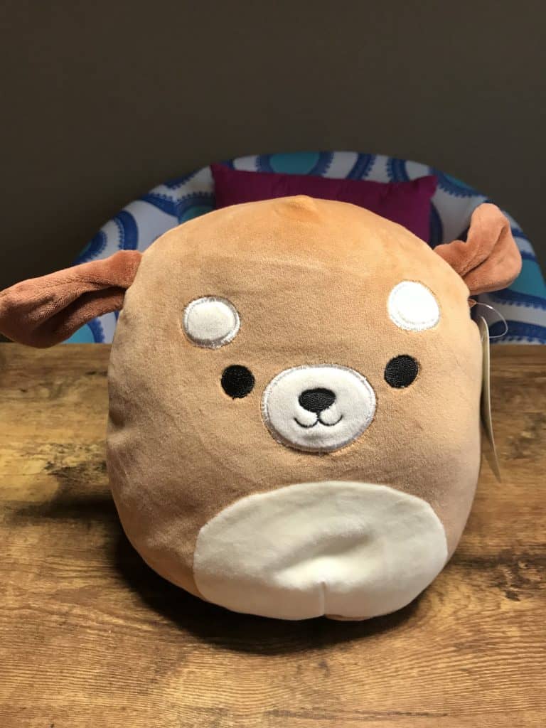 5cm squishmallows