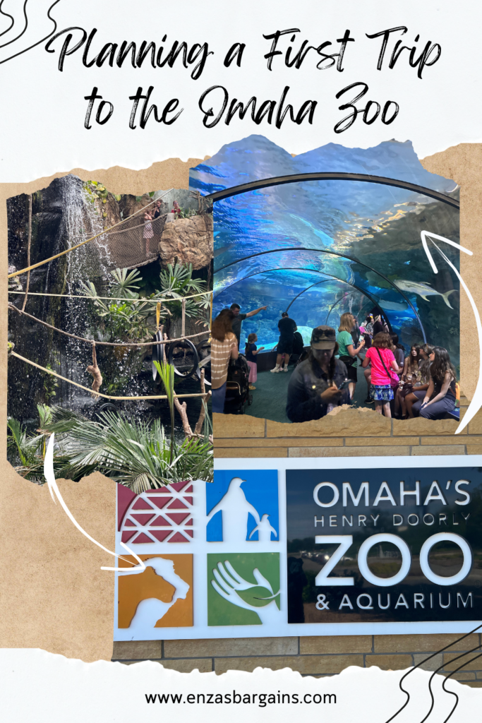Planning a First Trip to the Omaha Zoo