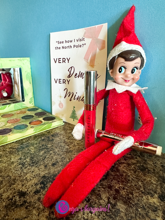 Demure and Mindful Elf on the Shelf